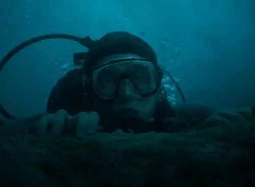 Whalefall_134348124328246283_big-cine_deskt.webp