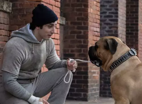 IPlayRocky_134359351910469381_big-cine_deskt.webp
